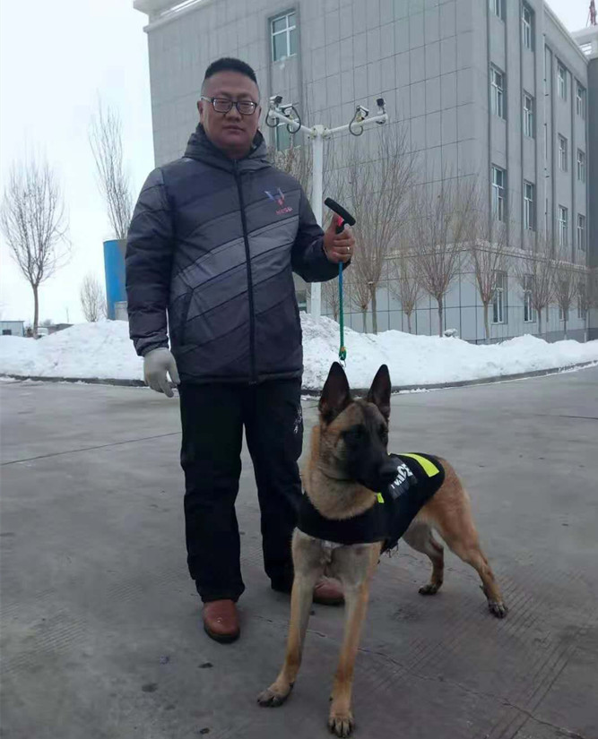 圖為：烏蘇北園春市場(chǎng)副總經(jīng)理孫兵人犬配合擔任安保任務(wù)_副本.jpg